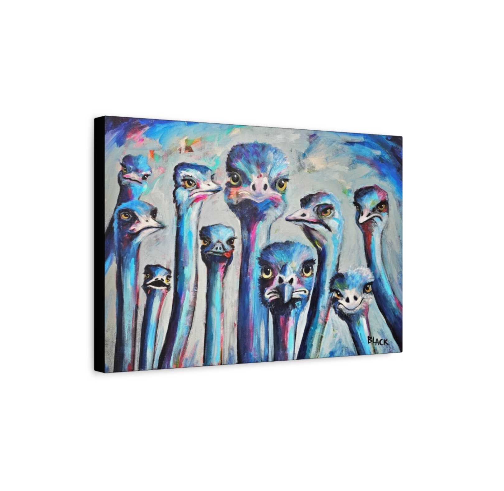 Canvas Prints